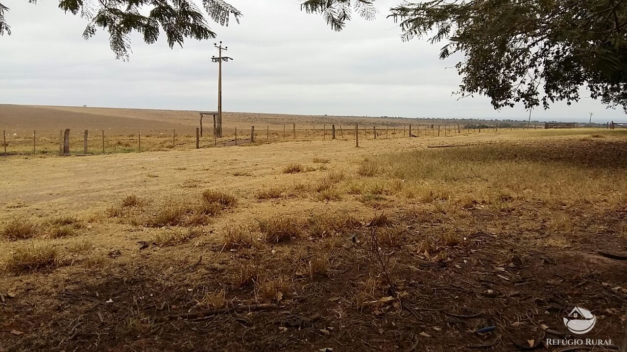 Fazenda à venda com 5 quartos, 36750000m² - Foto 1