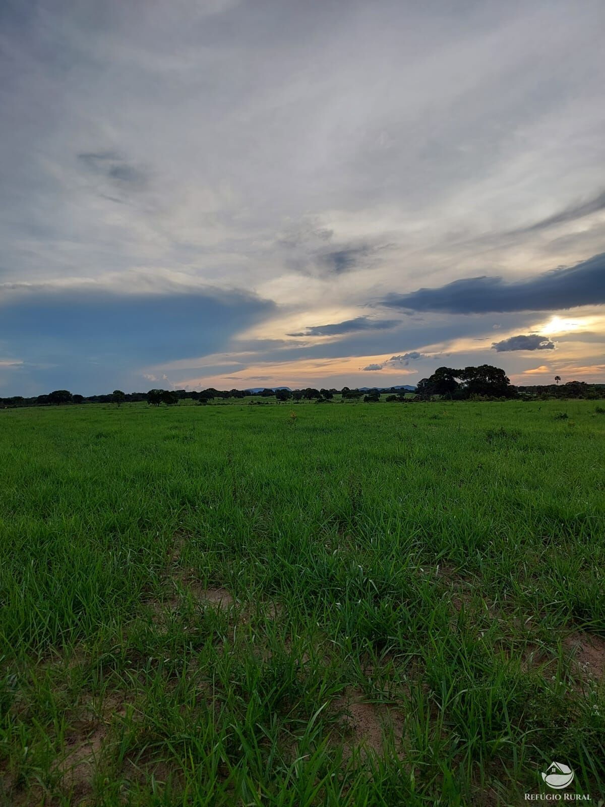 Fazenda à venda com 4 quartos, 48400000m² - Foto 4