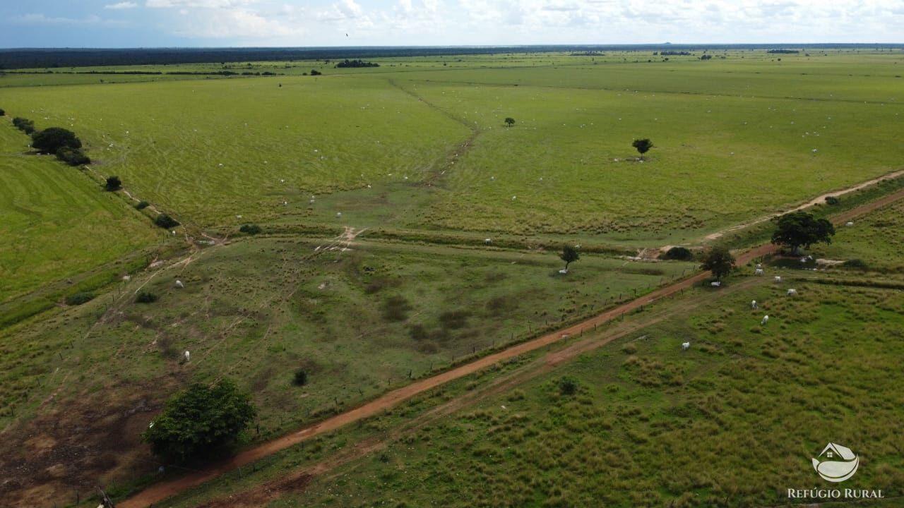 Fazenda à venda com 4 quartos, 48400000m² - Foto 5