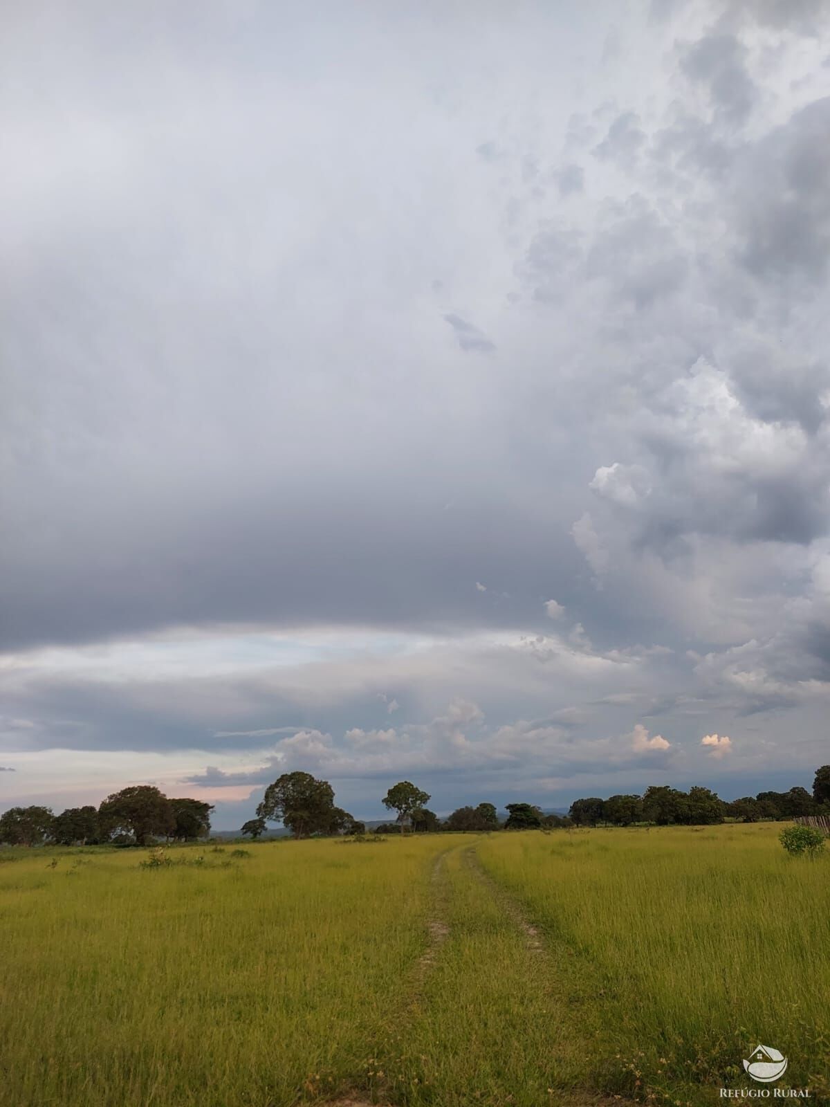 Fazenda à venda com 4 quartos, 48400000m² - Foto 3