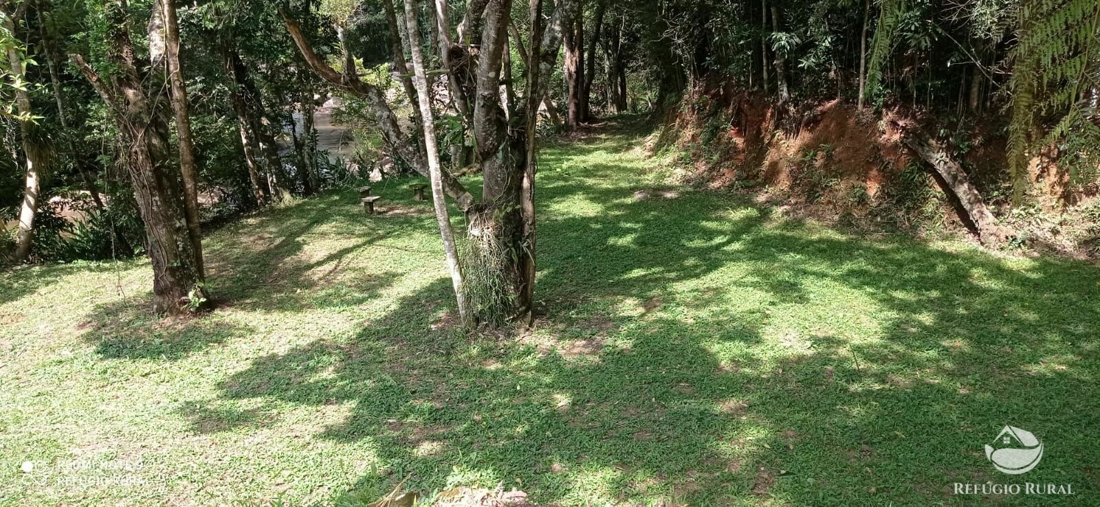 Fazenda à venda, 24200m² - Foto 13