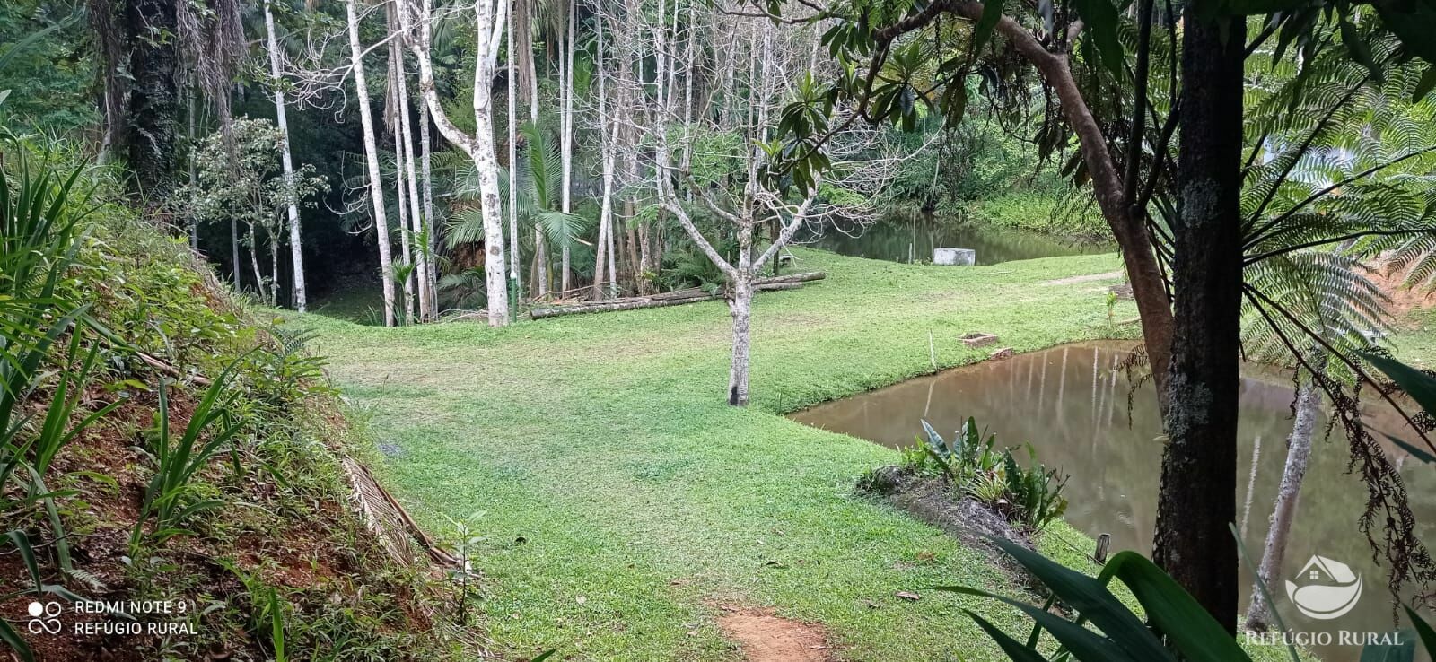 Fazenda à venda, 24200m² - Foto 5