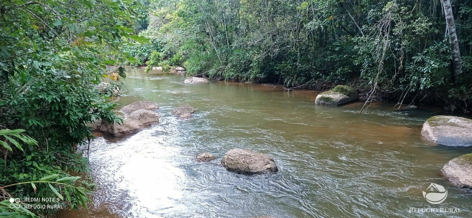 Fazenda à venda, 24200m² - Foto 6