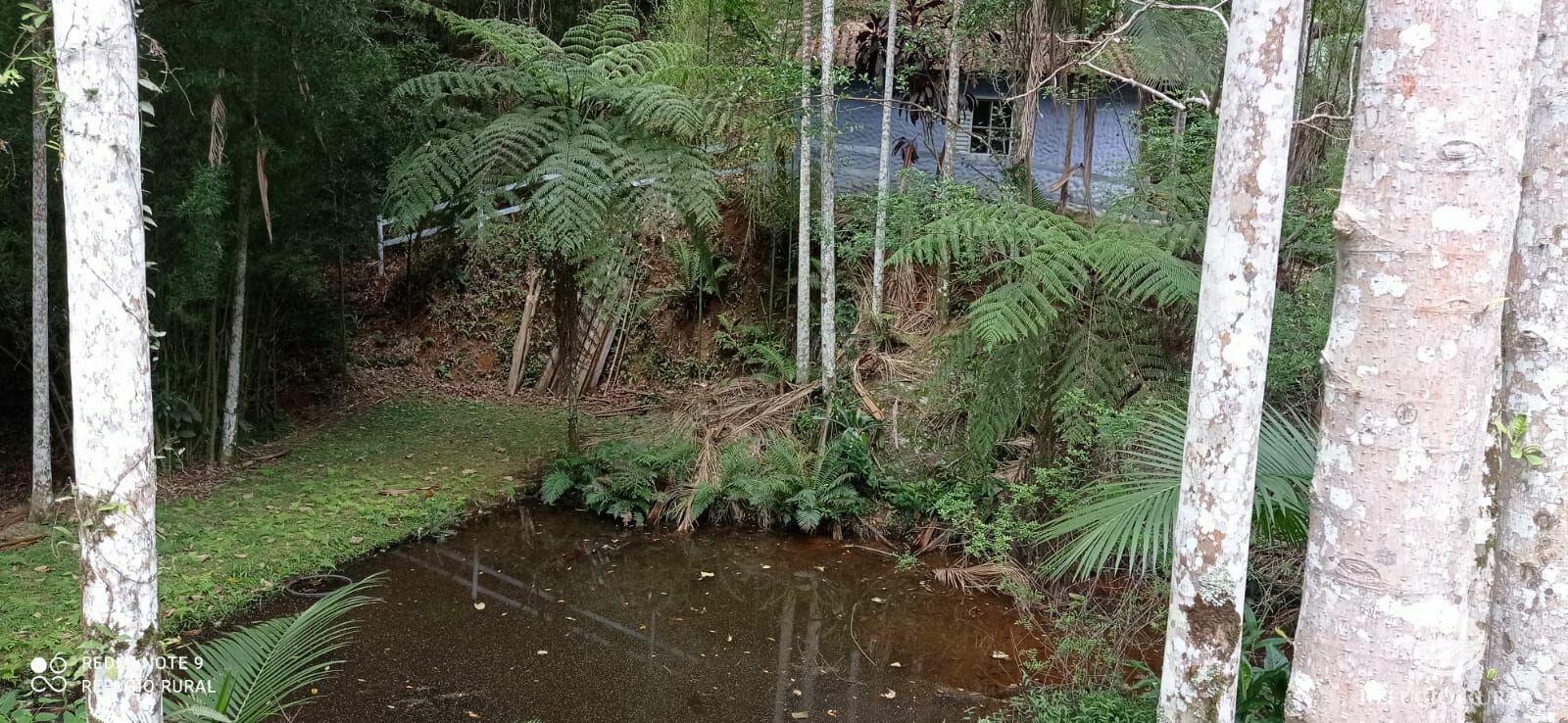 Fazenda à venda, 24200m² - Foto 27