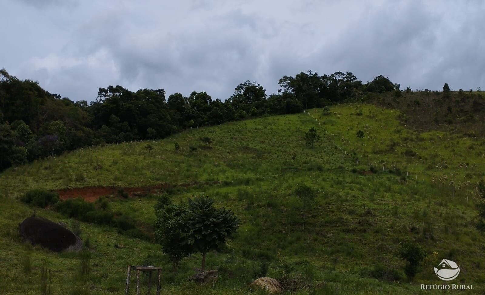 Fazenda à venda com 1 quarto, 13600m² - Foto 6