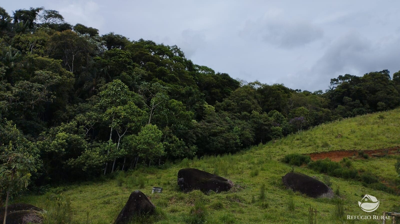 Fazenda à venda com 1 quarto, 13600m² - Foto 1