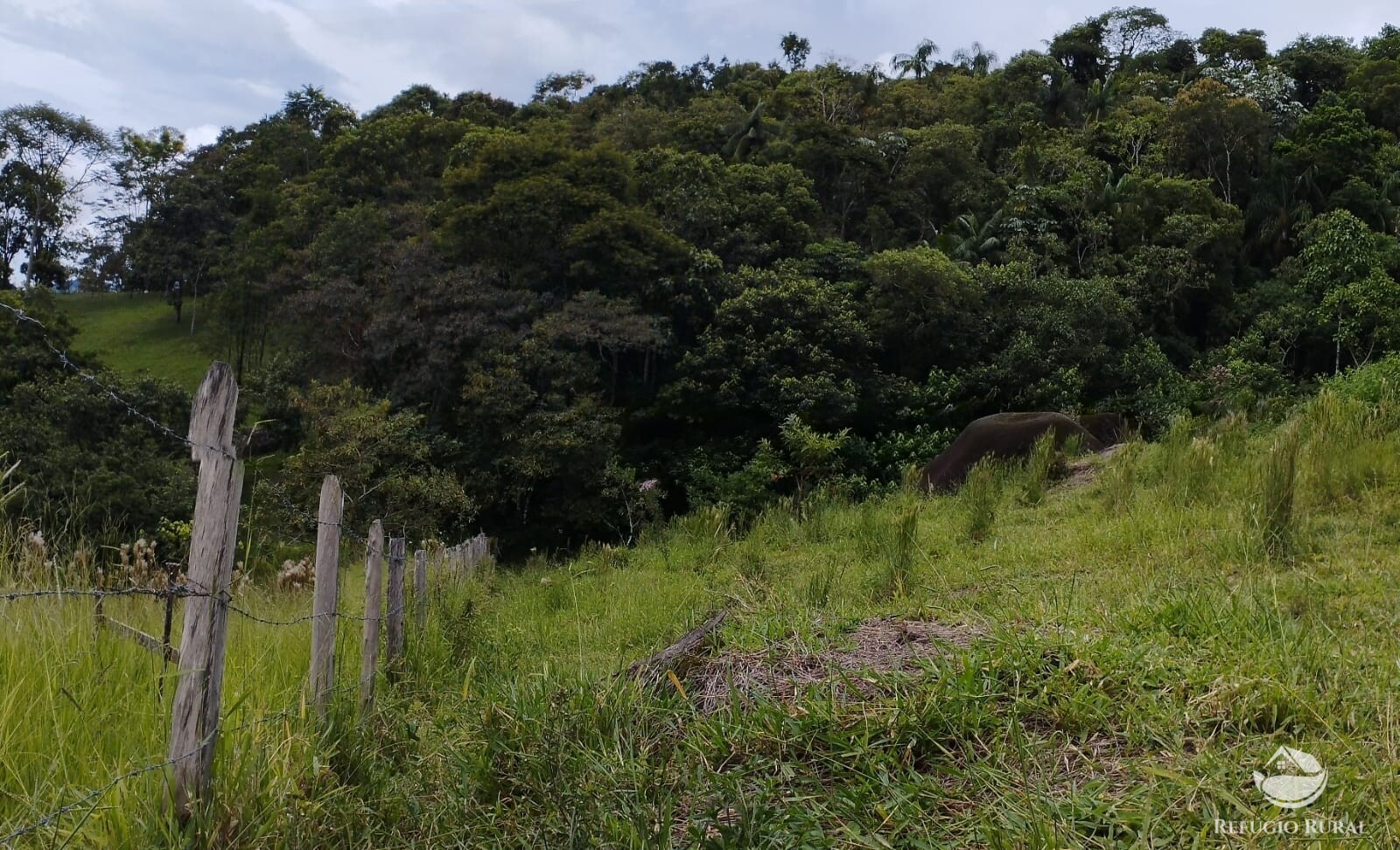 Fazenda à venda com 1 quarto, 13600m² - Foto 12