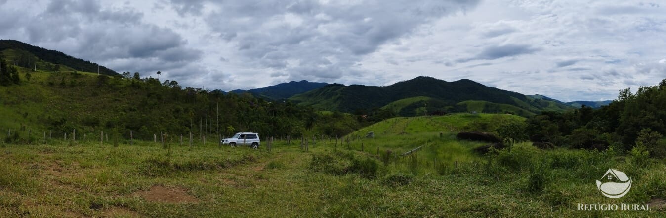 Fazenda à venda com 1 quarto, 13600m² - Foto 10