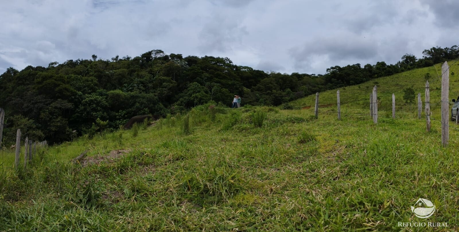 Fazenda à venda com 1 quarto, 13600m² - Foto 11