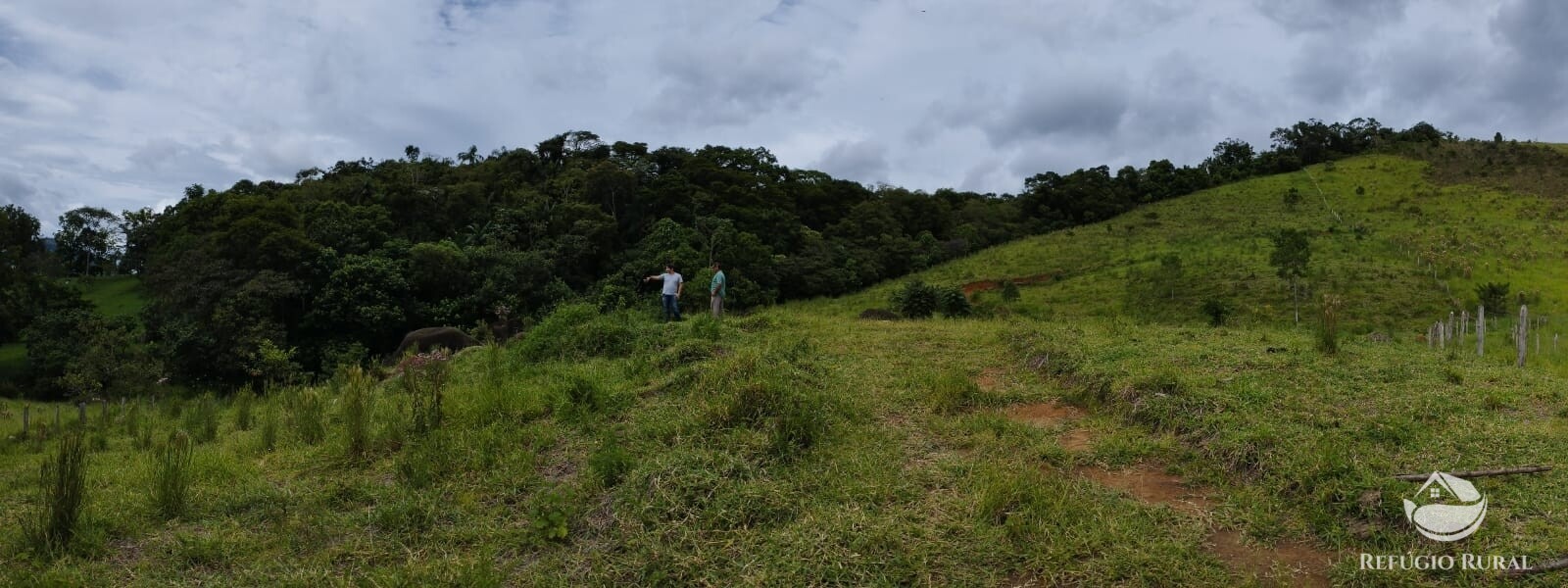 Fazenda à venda com 1 quarto, 13600m² - Foto 8