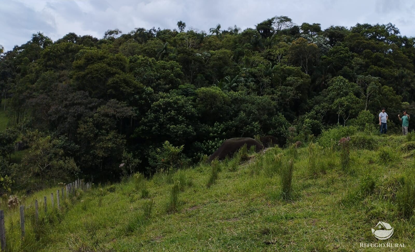 Fazenda à venda com 1 quarto, 13600m² - Foto 5