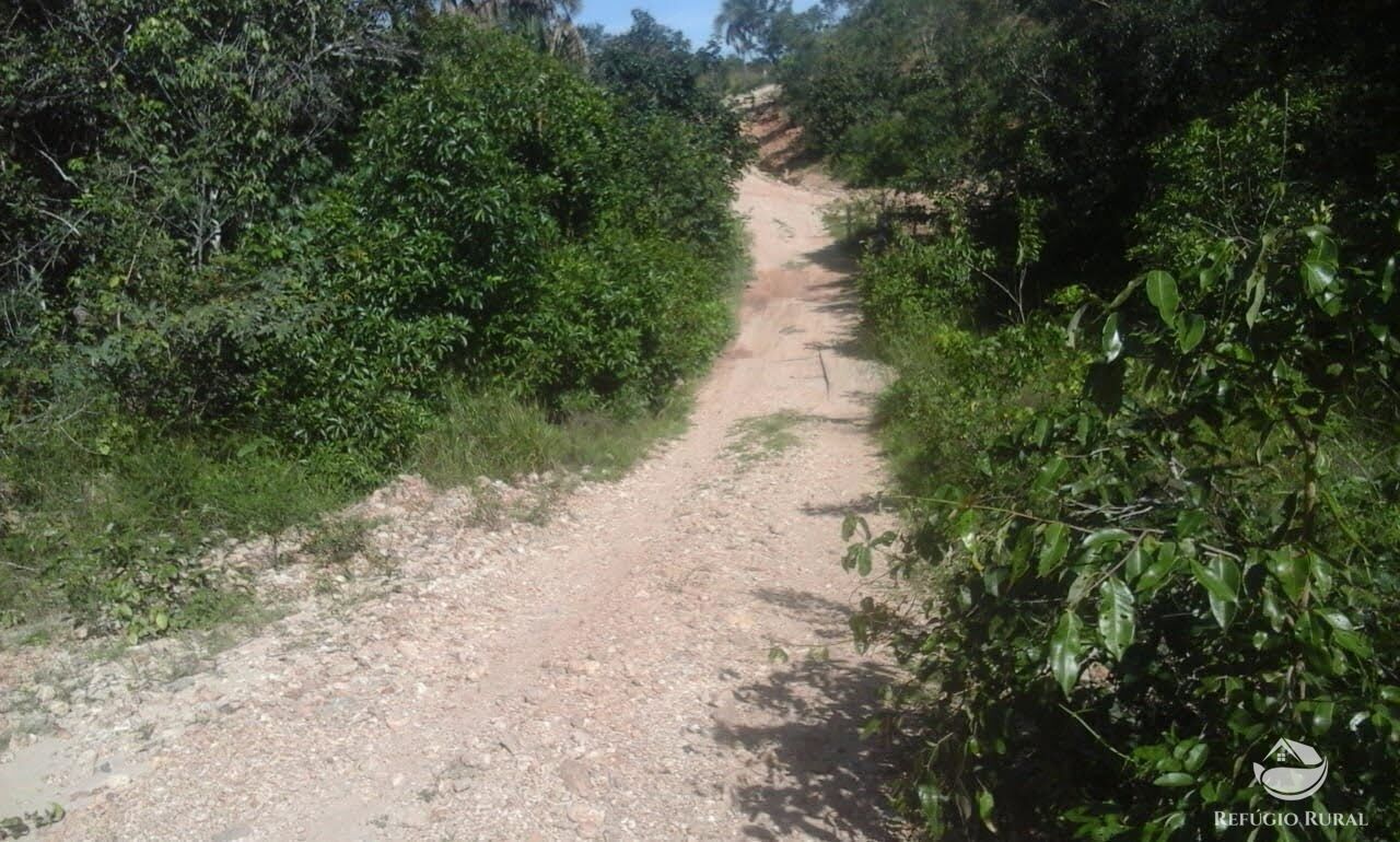 Fazenda em Lizarda/Tocantins — Ref BOY55Z — Imagem 5