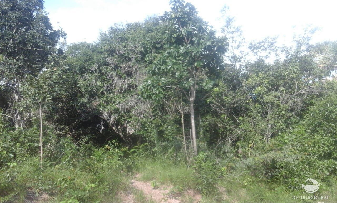 Fazenda em Lizarda/Tocantins — Ref BOY55Z — Imagem 4