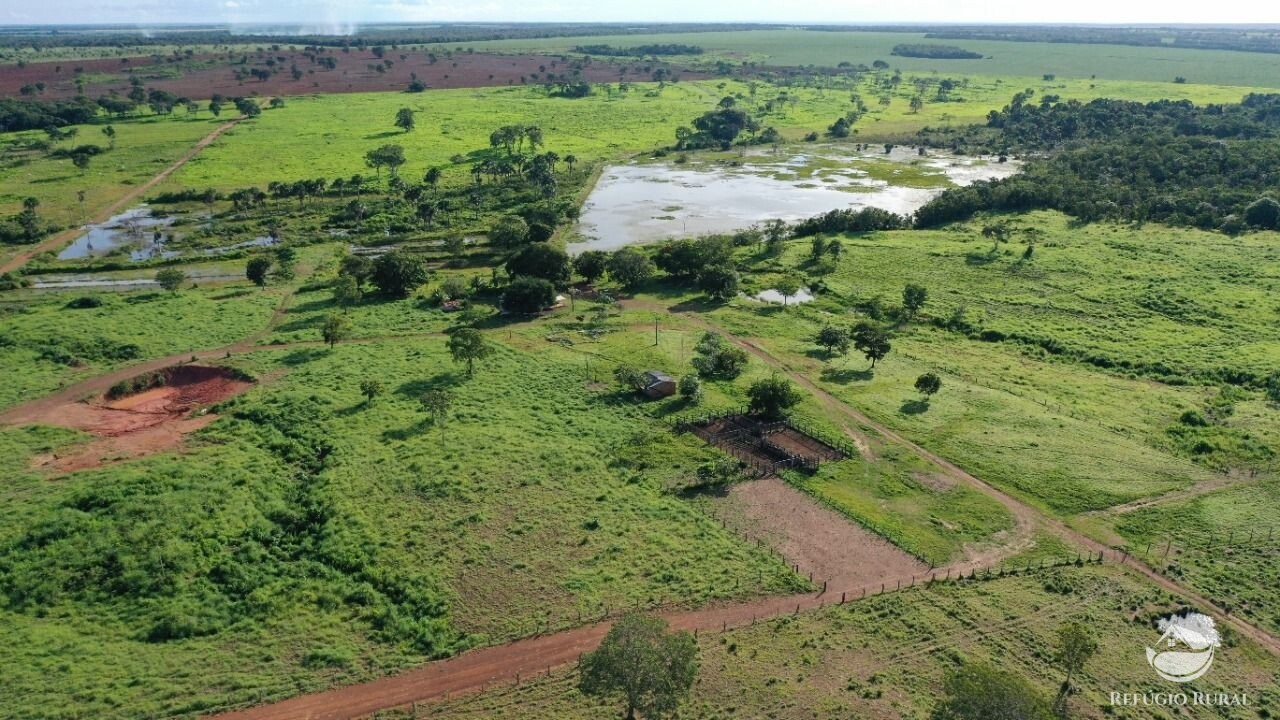 Fazenda à venda com 1 quarto, 7550400m² - Foto 19