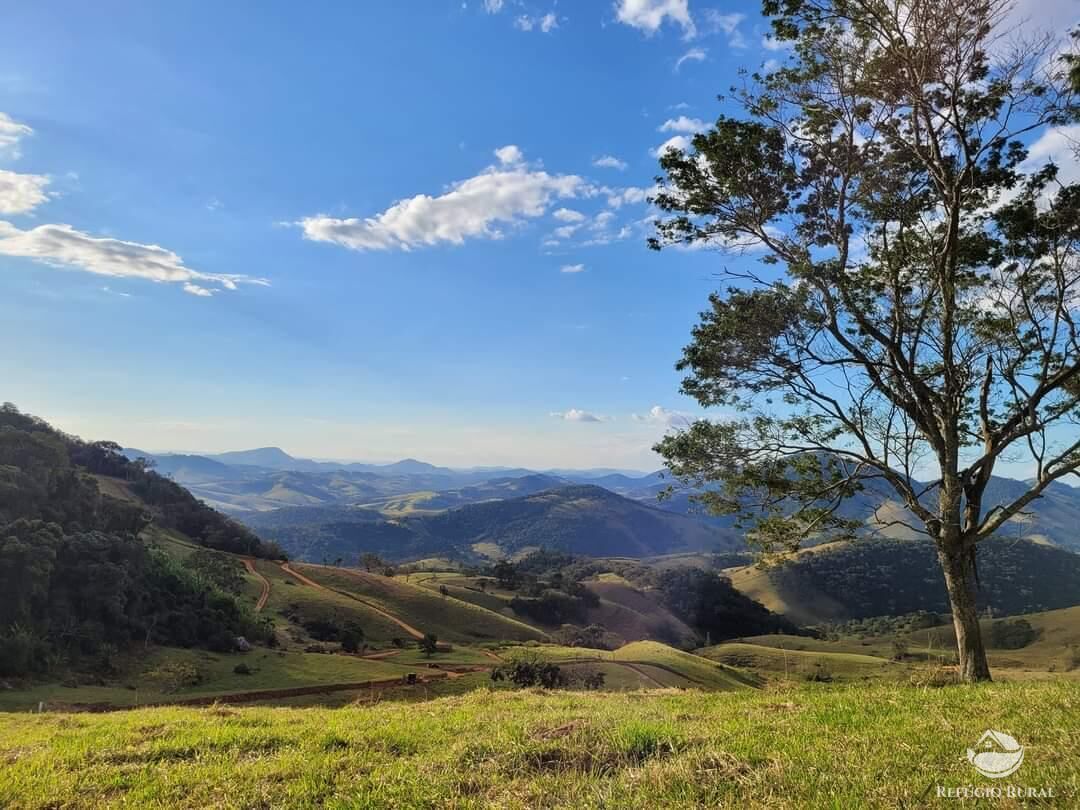 Terreno à venda, 20000m² - Foto 11