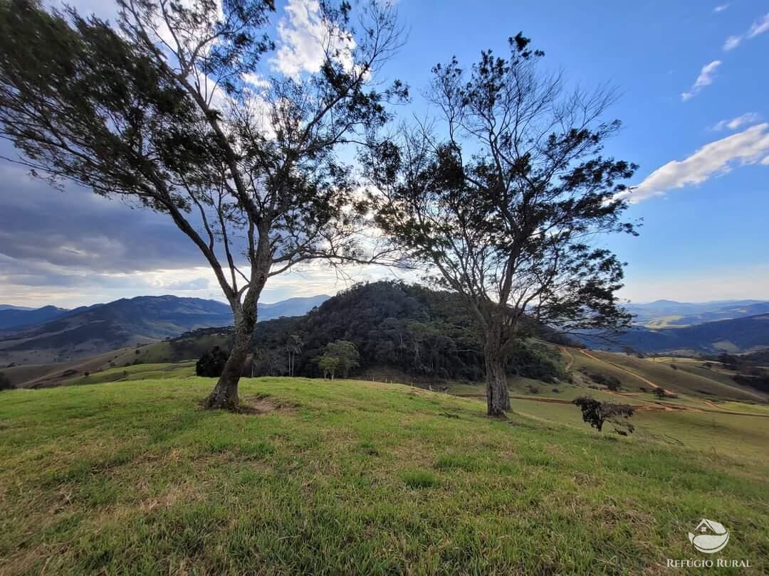 Terreno à venda, 20000m² - Foto 7