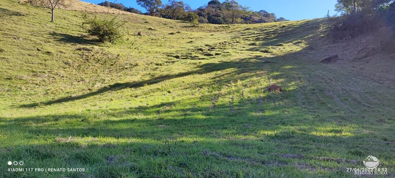 Terreno à venda, 20000m² - Foto 29