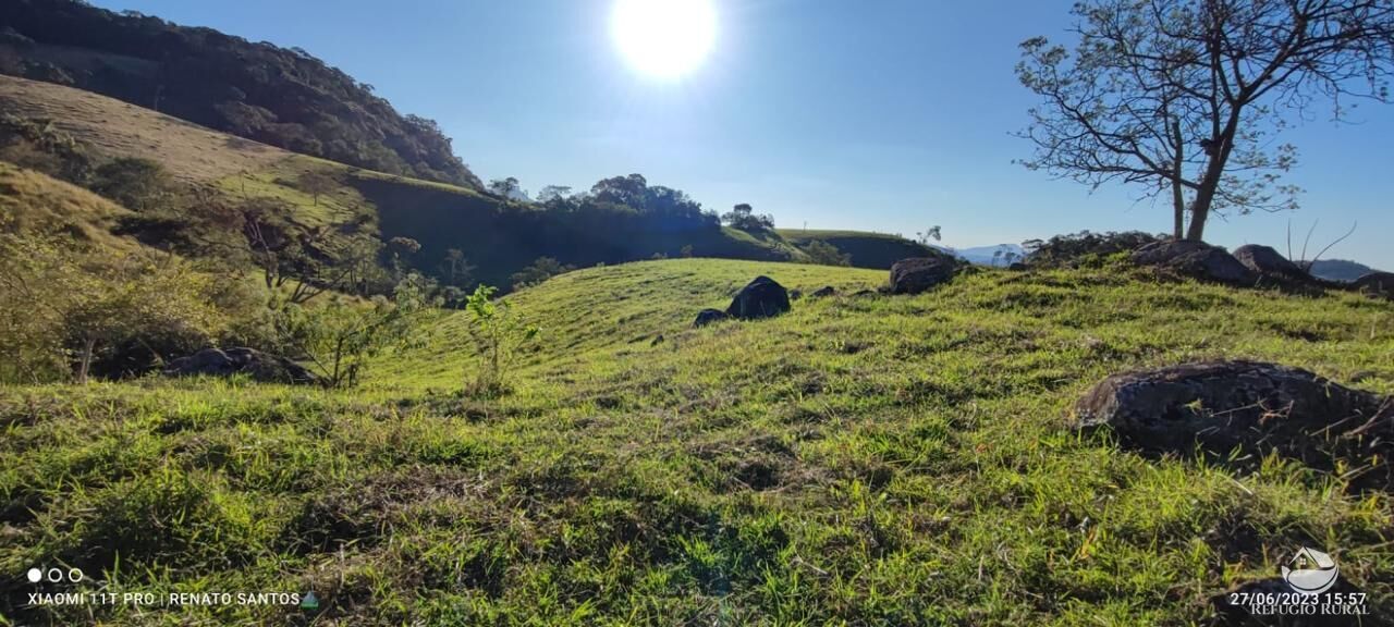 Terreno à venda, 20000m² - Foto 5