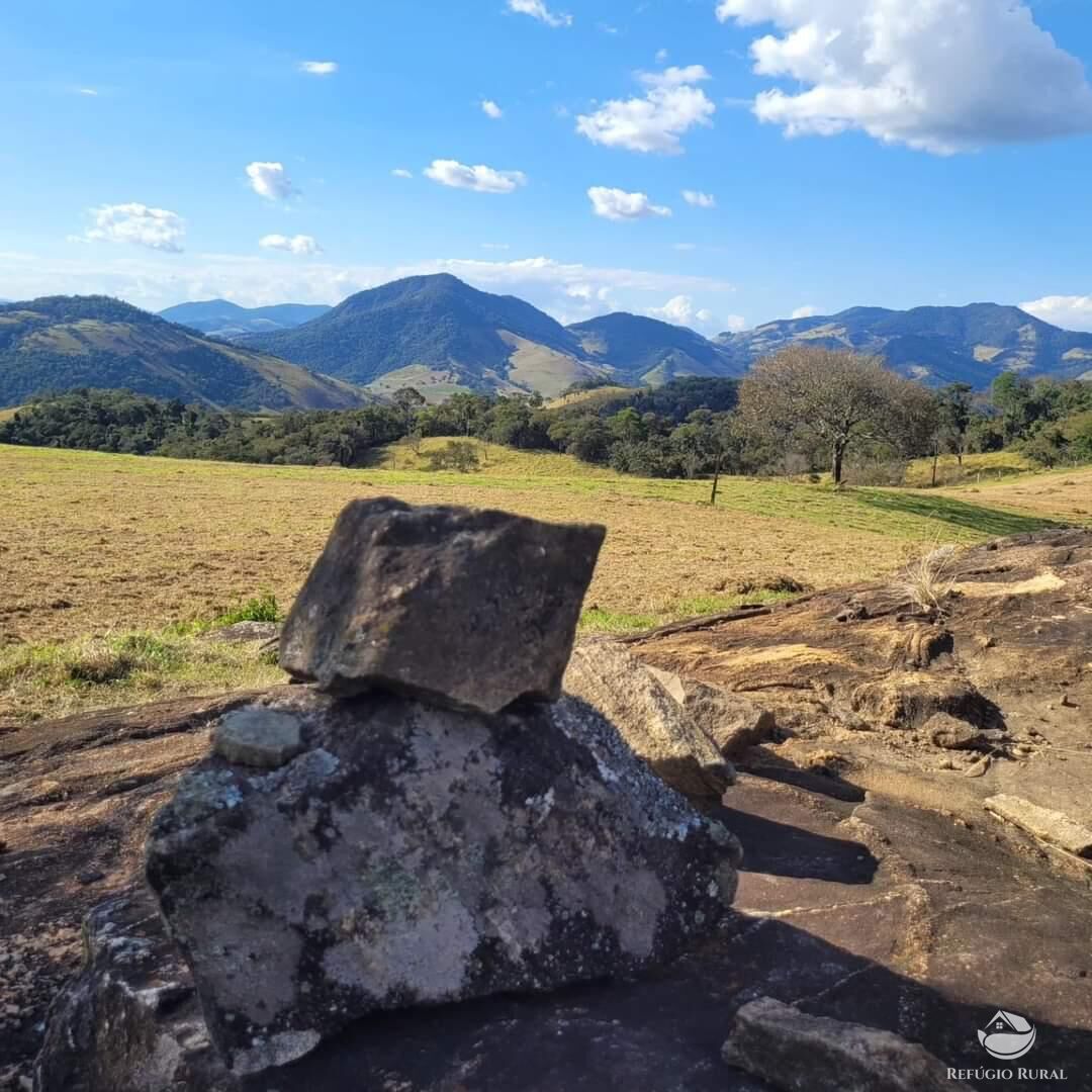 Terreno à venda, 20000m² - Foto 3