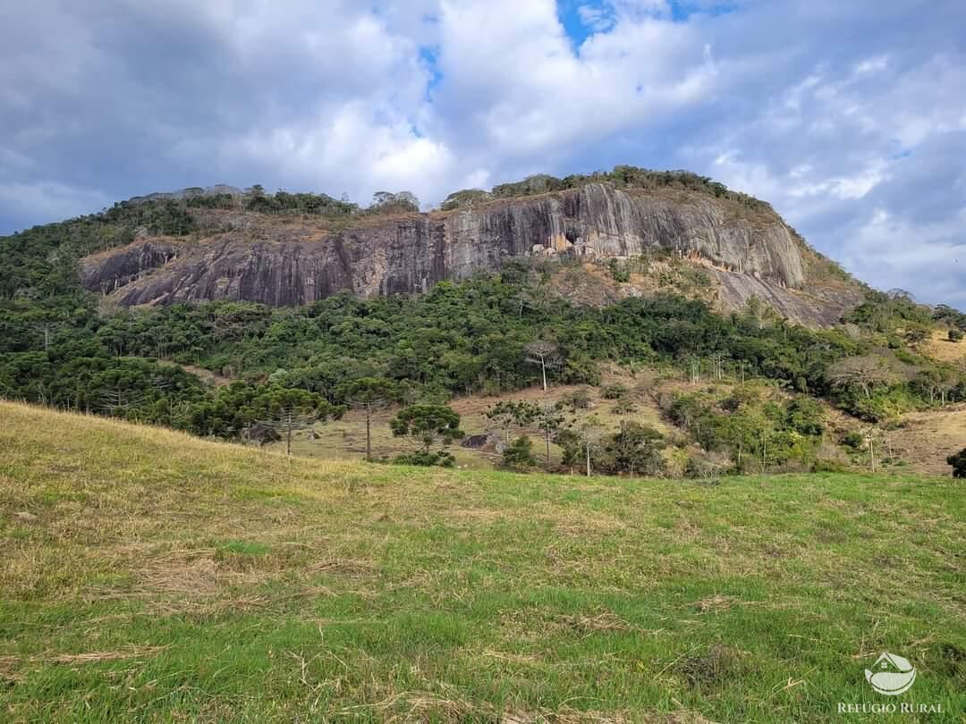 Terreno à venda, 20000m² - Foto 6