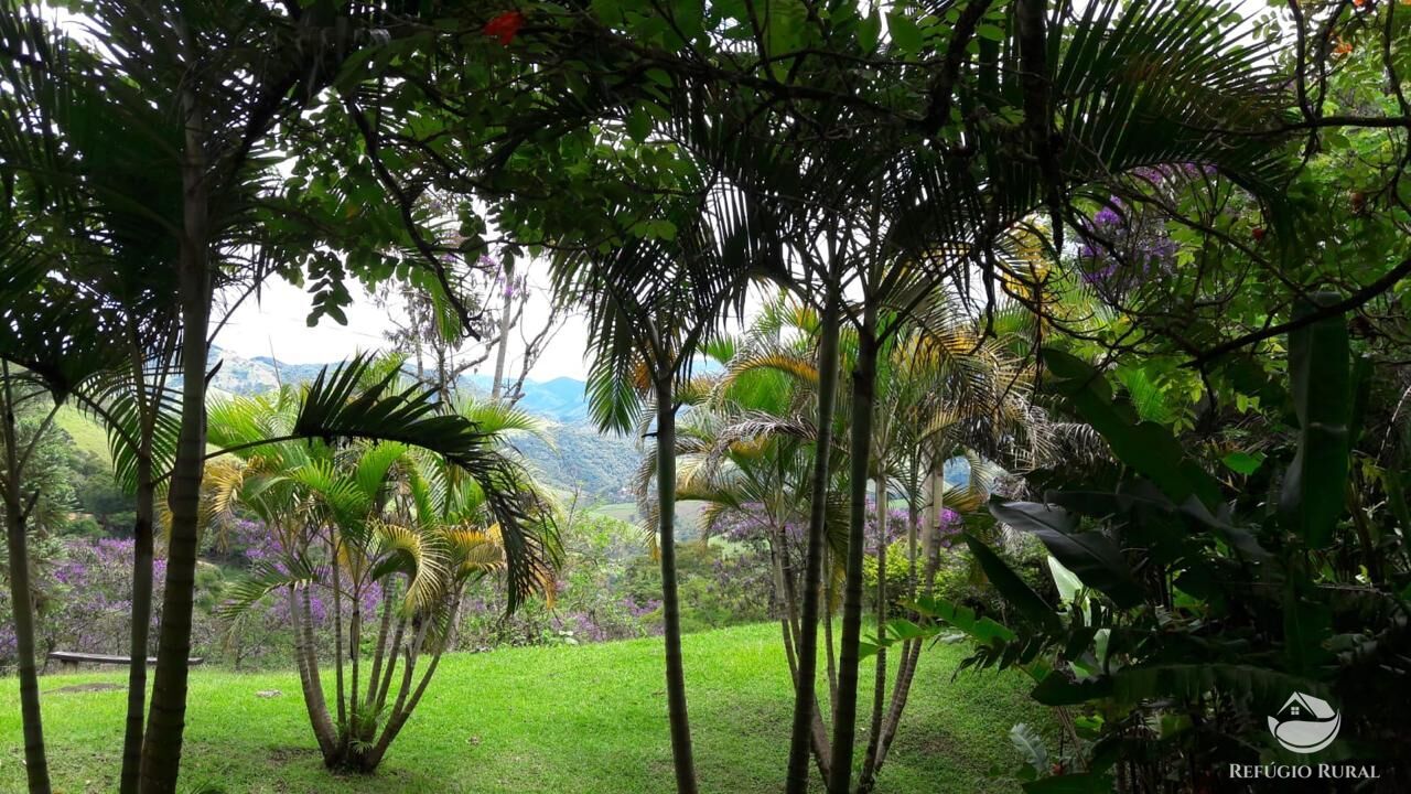 Chácara à venda com 3 quartos, 9000m² - Foto 47