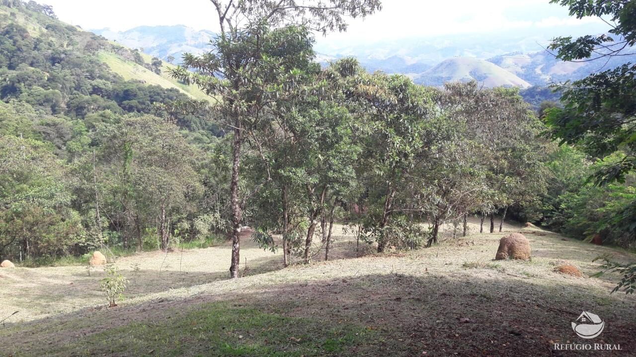 Chácara à venda com 3 quartos, 9000m² - Foto 44
