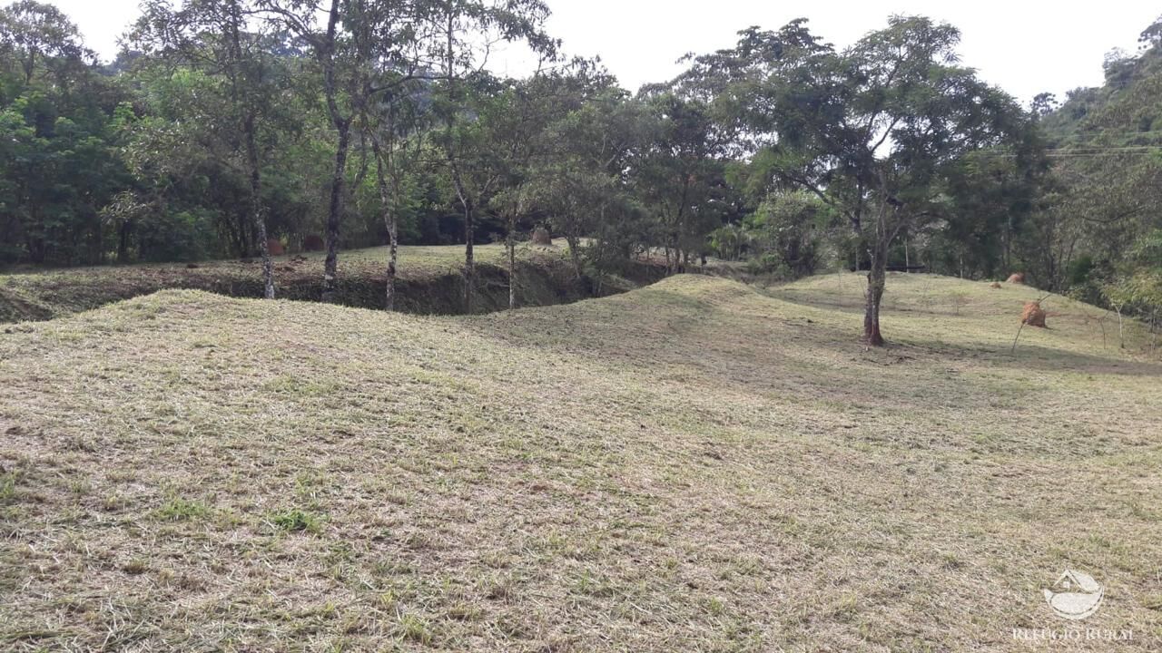 Chácara à venda com 3 quartos, 9000m² - Foto 46
