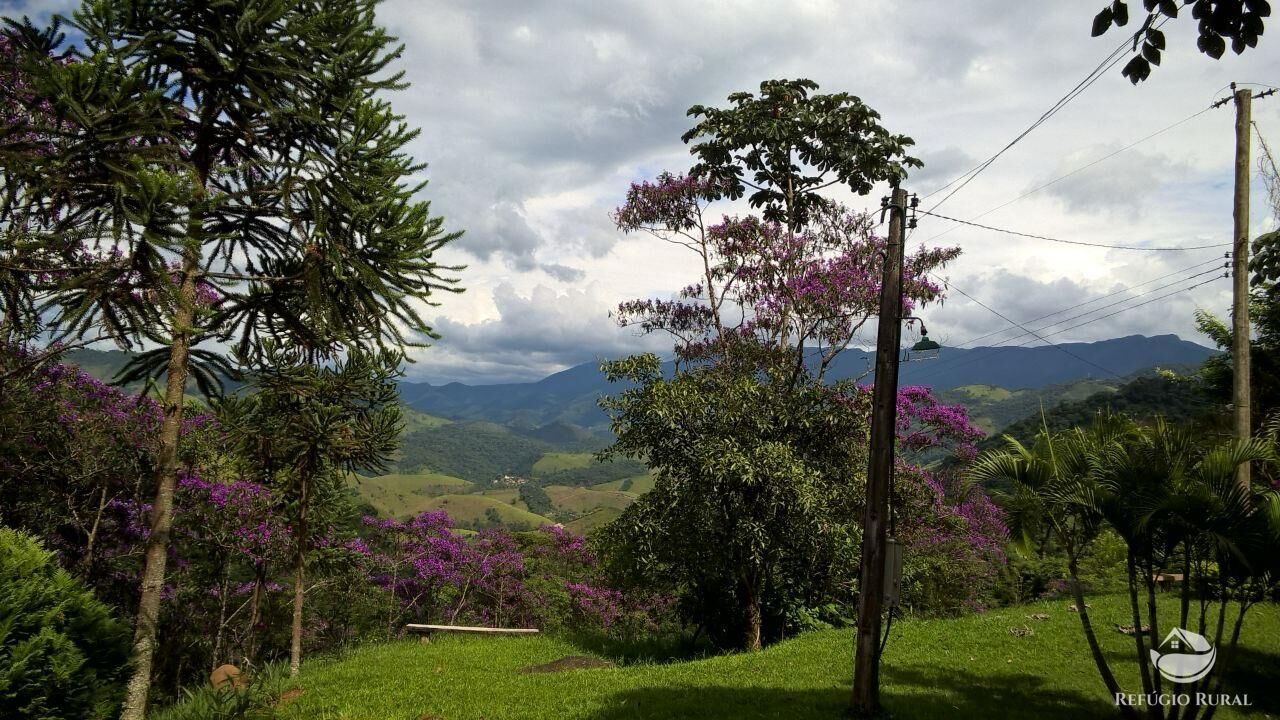 Chácara à venda com 3 quartos, 9000m² - Foto 37