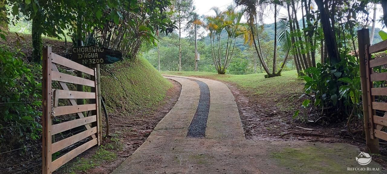 Chácara à venda com 3 quartos, 9000m² - Foto 43