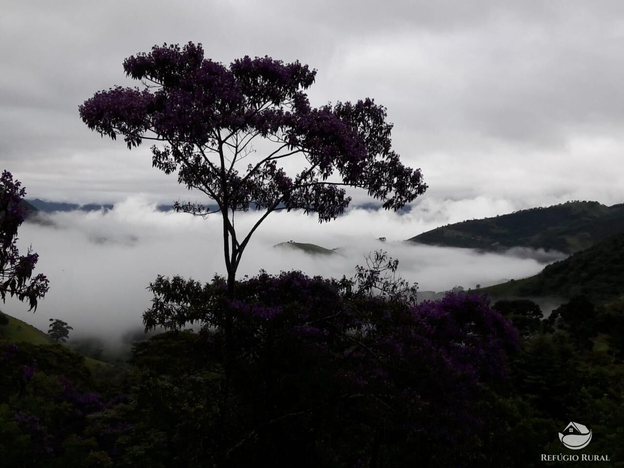 Chácara à venda com 3 quartos, 9000m² - Foto 49