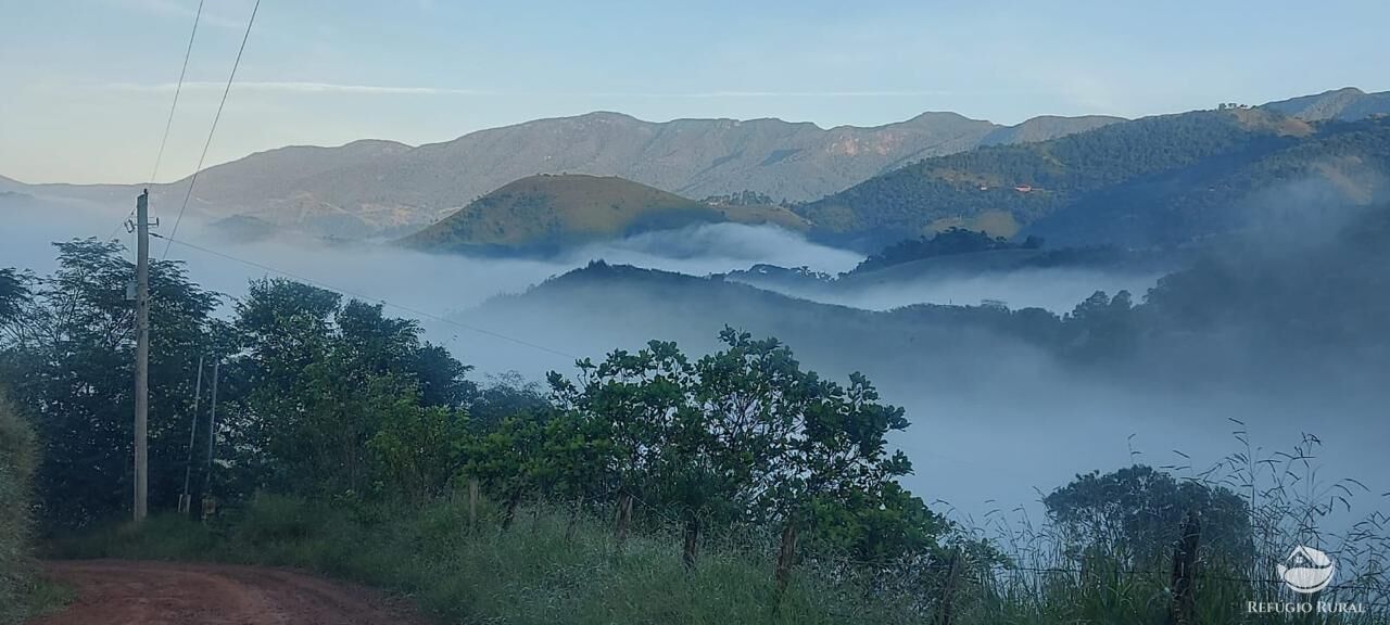 Chácara à venda com 3 quartos, 9000m² - Foto 24
