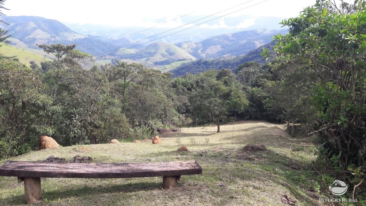Chácara à venda com 3 quartos, 9000m² - Foto 45
