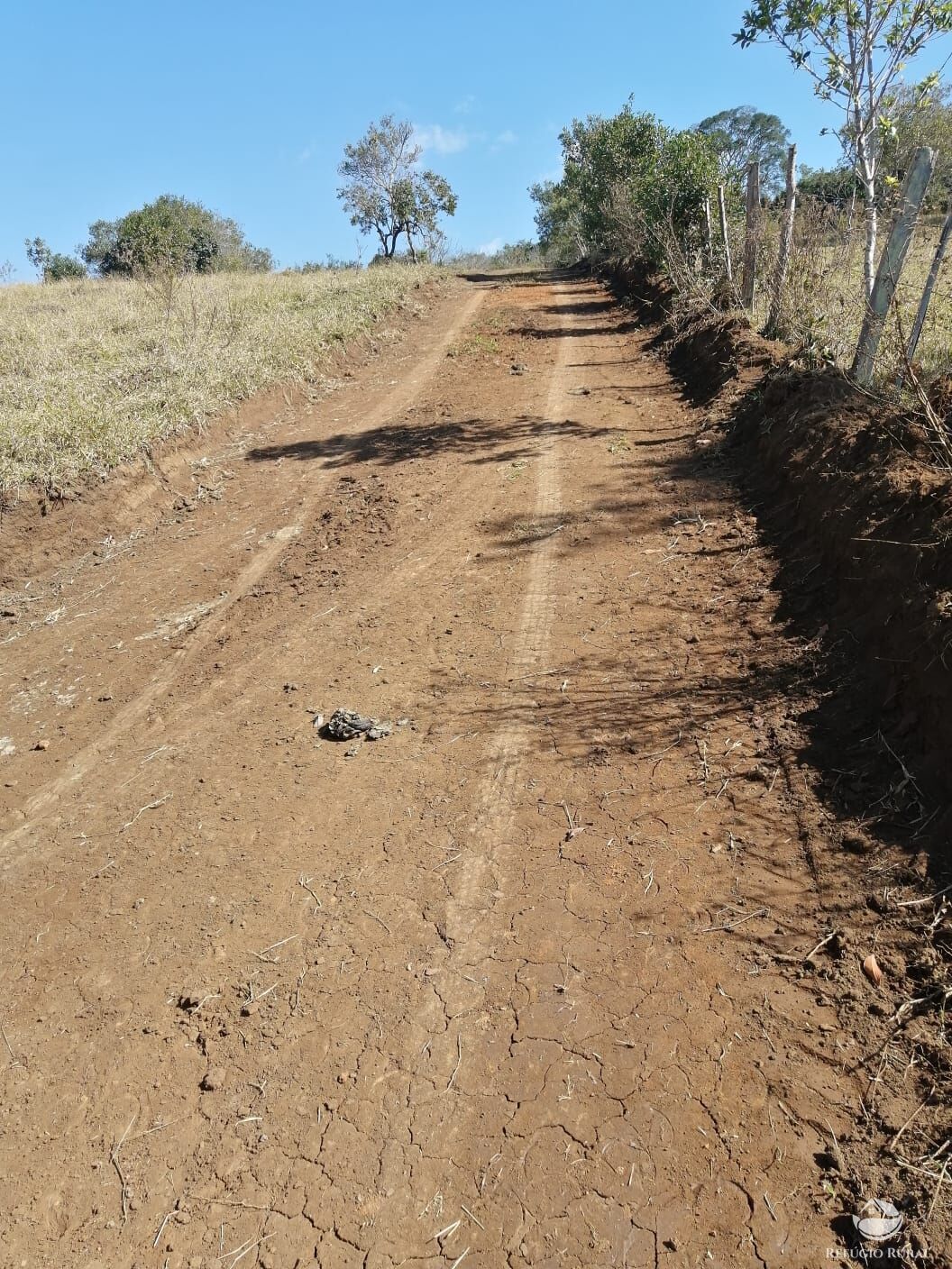 Terreno à venda, 1000m² - Foto 4