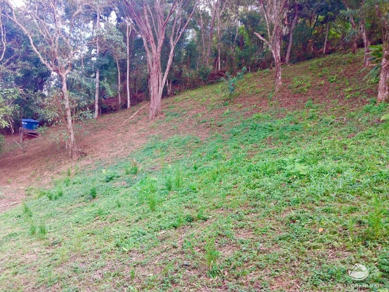 Chácara à venda com 4 quartos, 6700m² - Foto 13