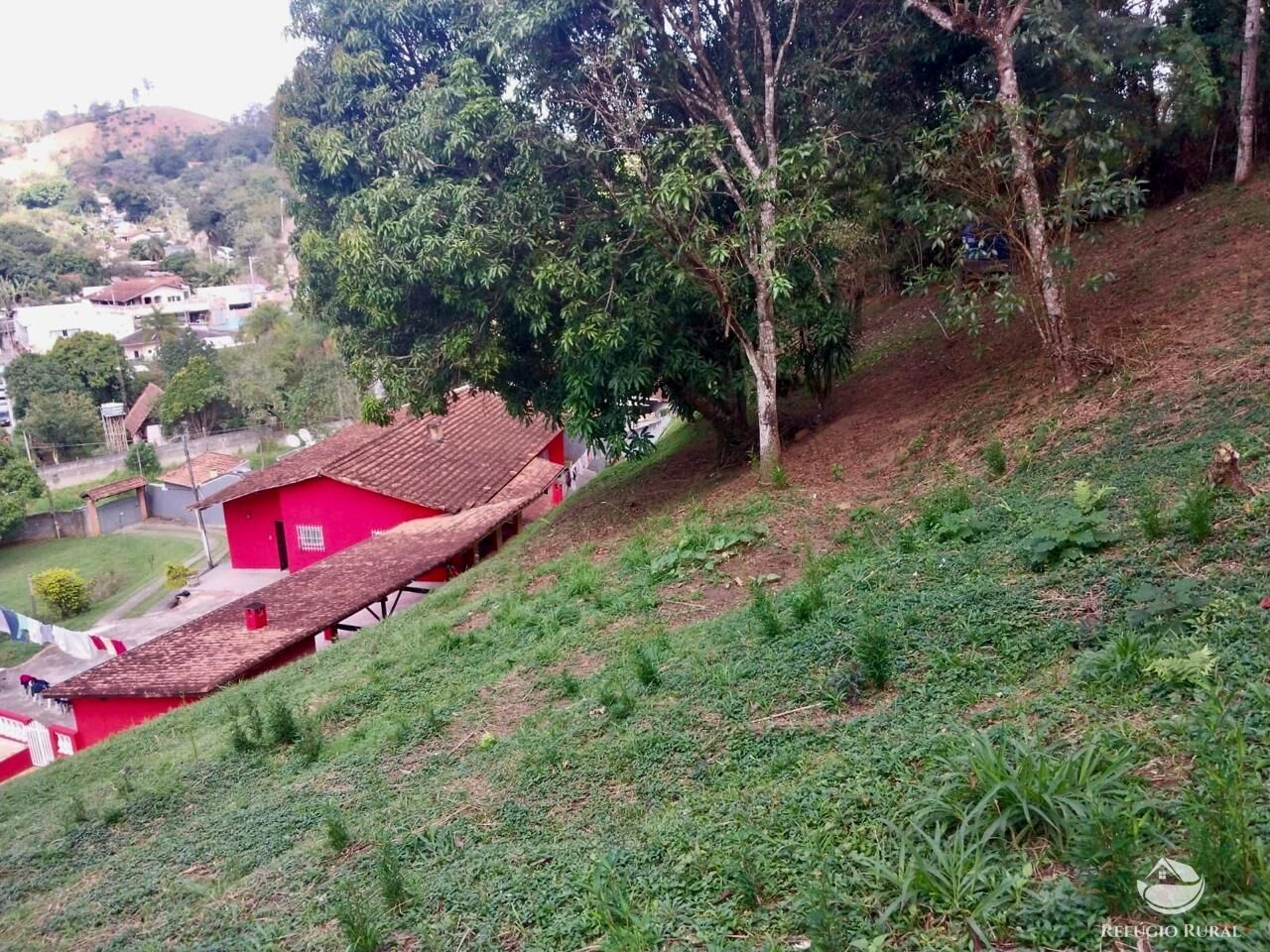 Chácara à venda com 4 quartos, 6700m² - Foto 8