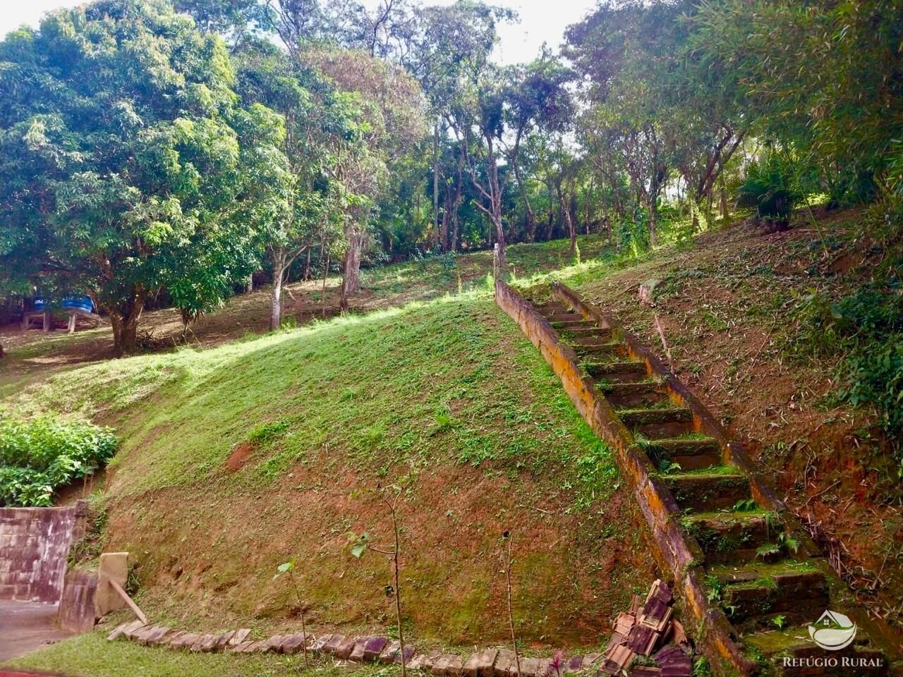 Chácara à venda com 4 quartos, 6700m² - Foto 15