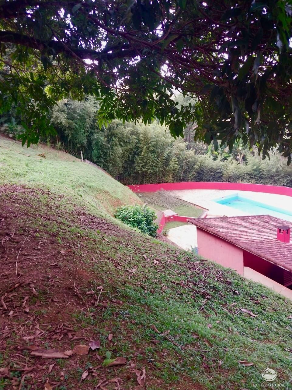 Chácara à venda com 4 quartos, 6700m² - Foto 9