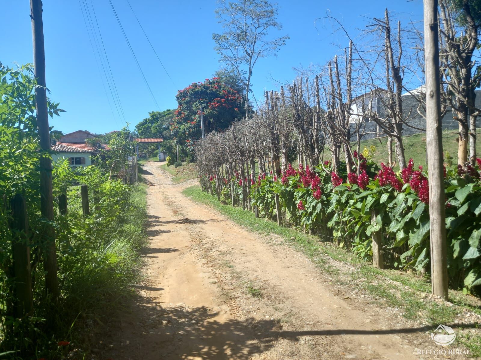 Fazenda à venda com 5 quartos, 2750m² - Foto 12