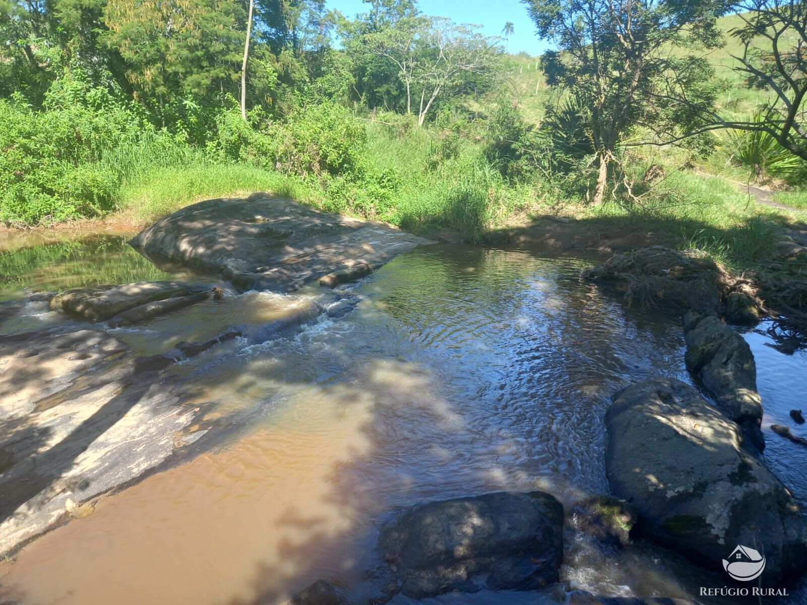 Fazenda à venda com 5 quartos, 2750m² - Foto 19