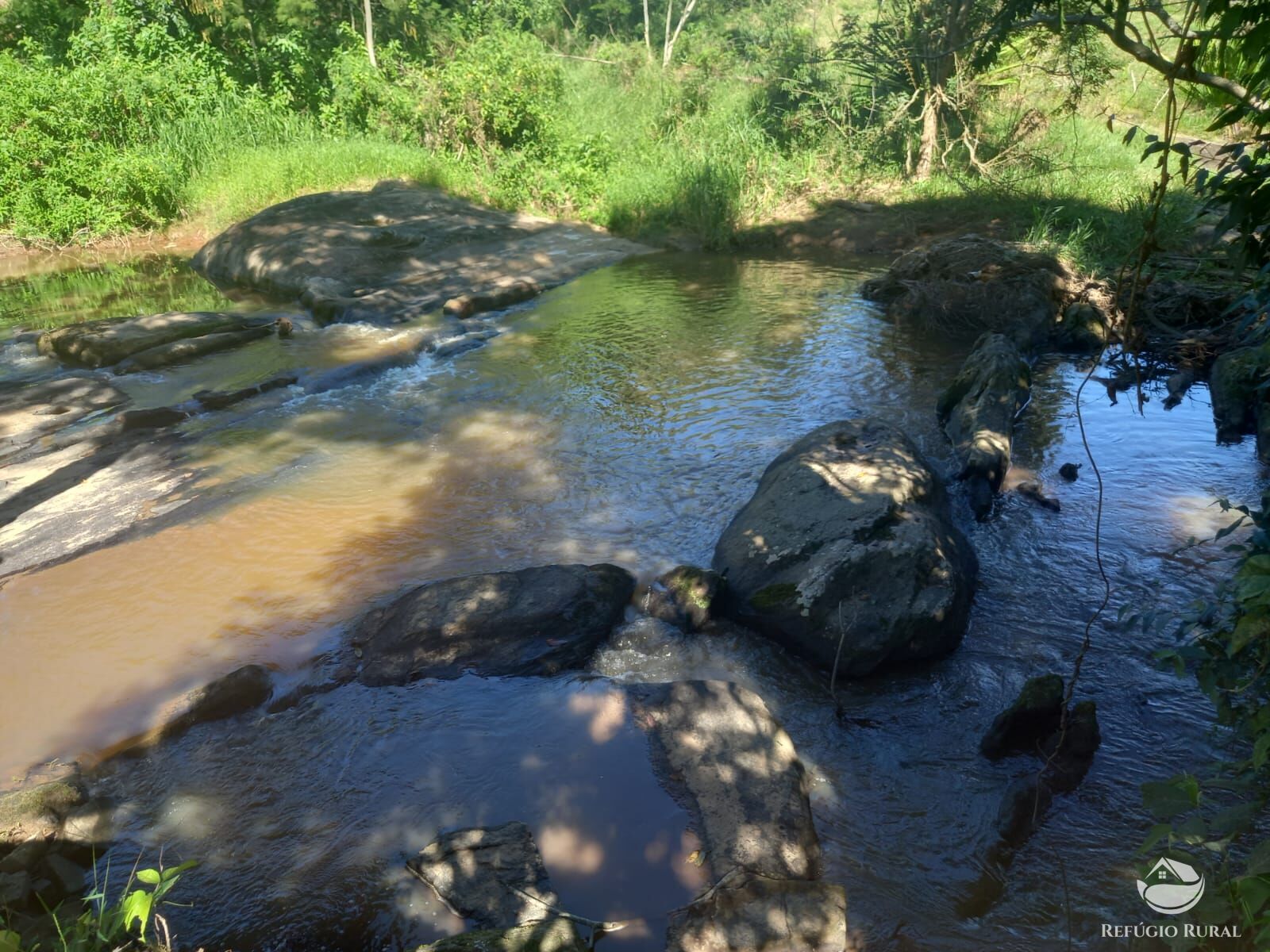 Fazenda à venda com 5 quartos, 2750m² - Foto 5