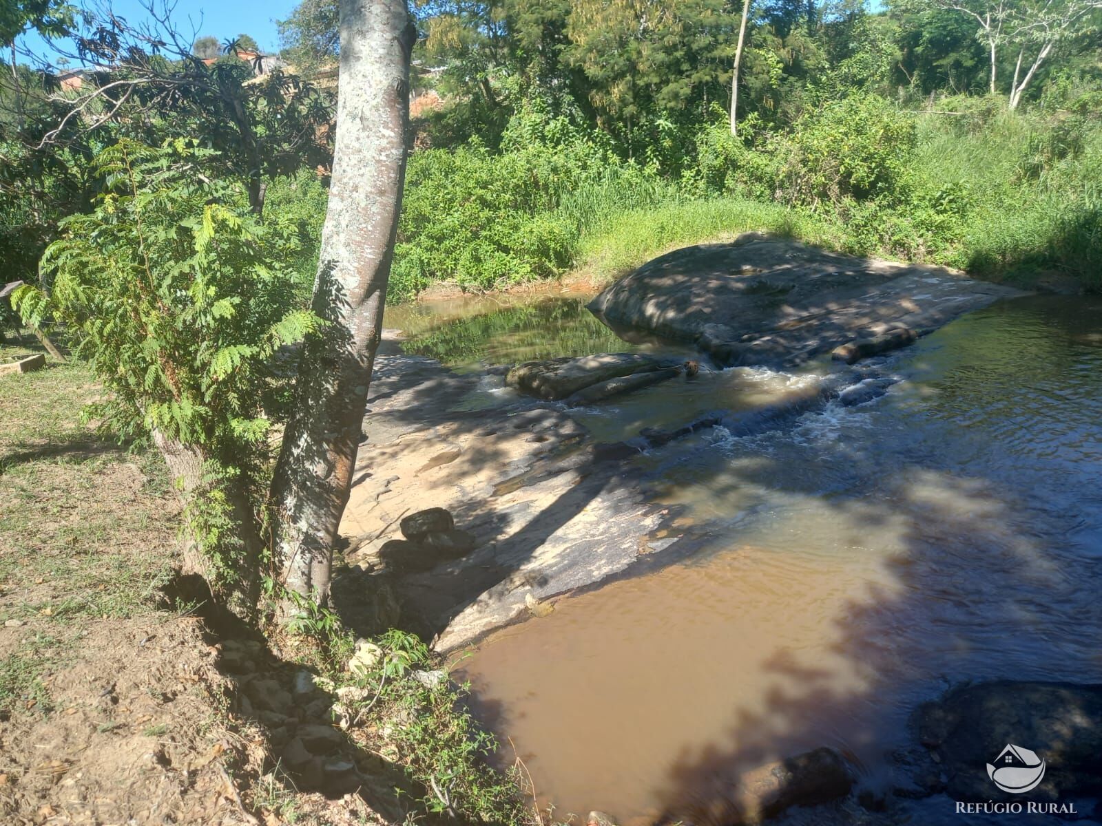 Fazenda à venda com 5 quartos, 2750m² - Foto 16