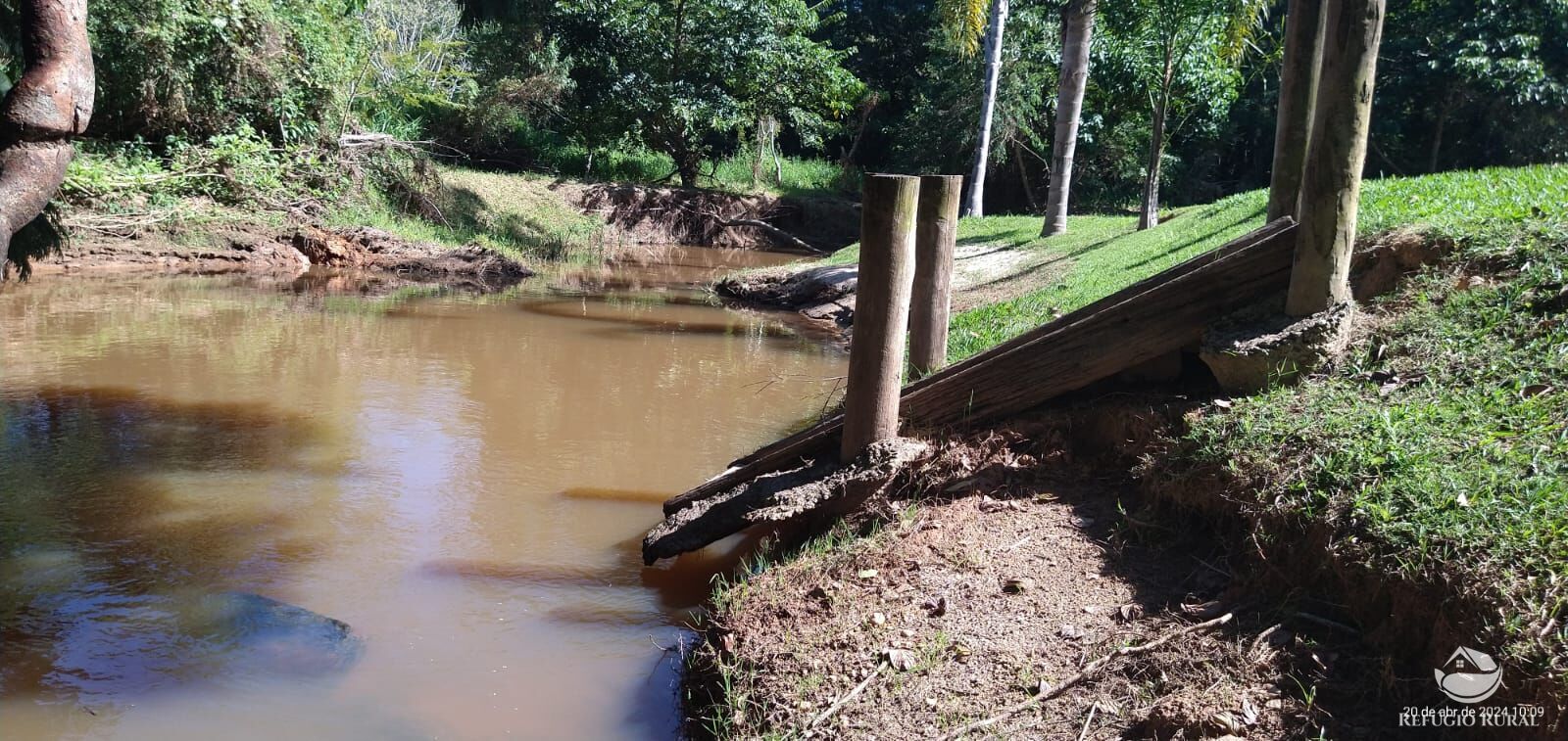 Fazenda à venda com 5 quartos, 2750m² - Foto 7