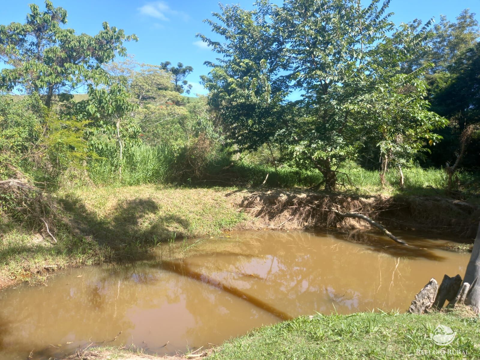 Fazenda à venda com 5 quartos, 2750m² - Foto 18