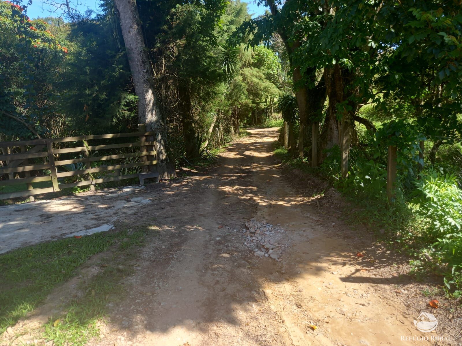 Fazenda à venda com 5 quartos, 2750m² - Foto 14