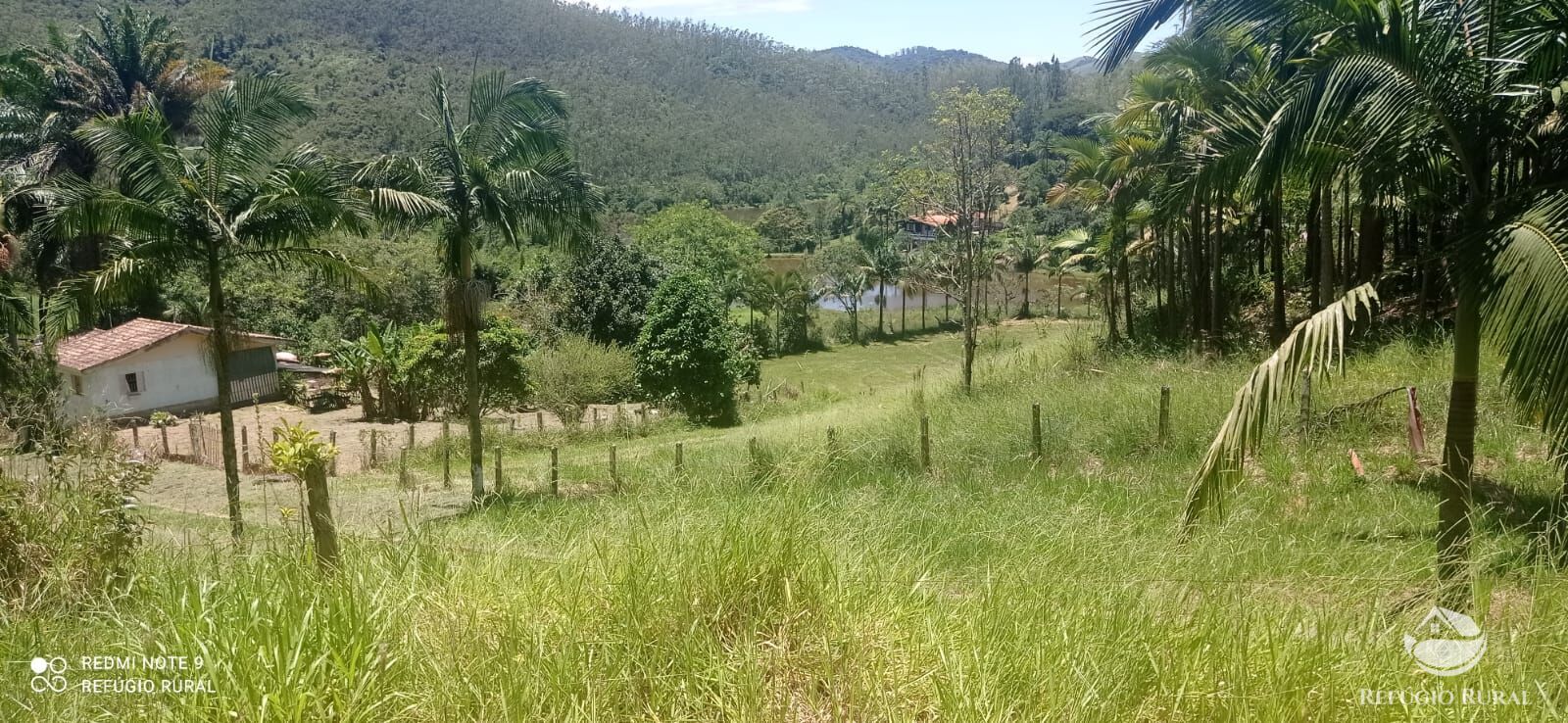 Fazenda à venda com 4 quartos, 1500400m² - Foto 15