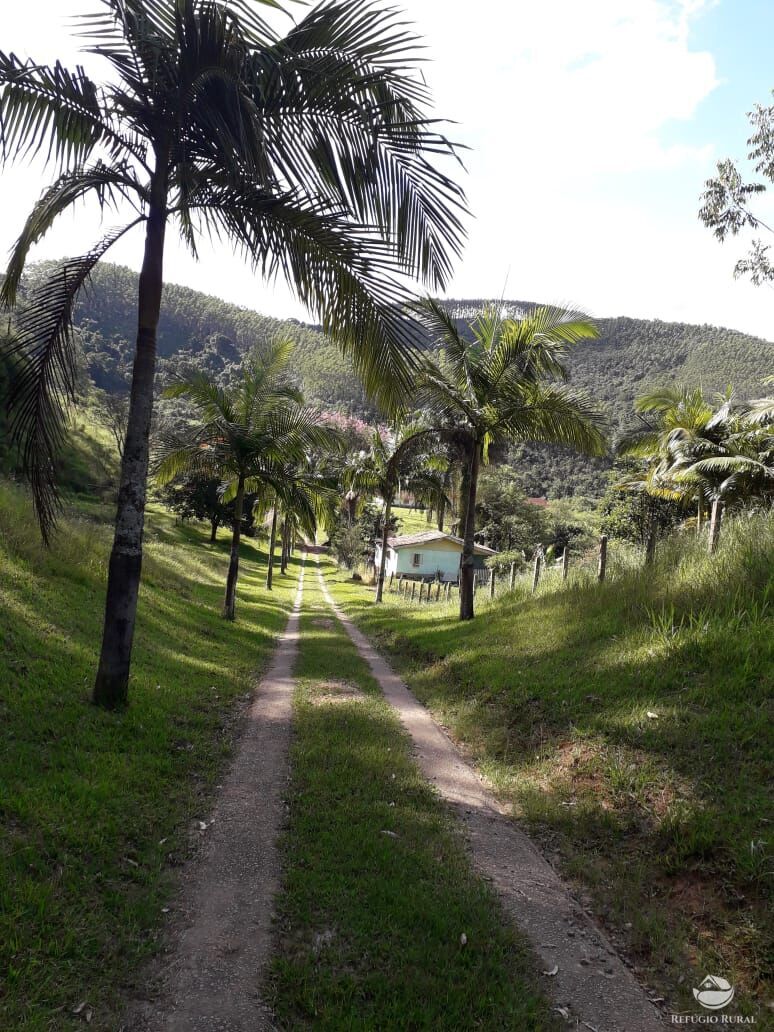 Fazenda à venda com 4 quartos, 1500400m² - Foto 5