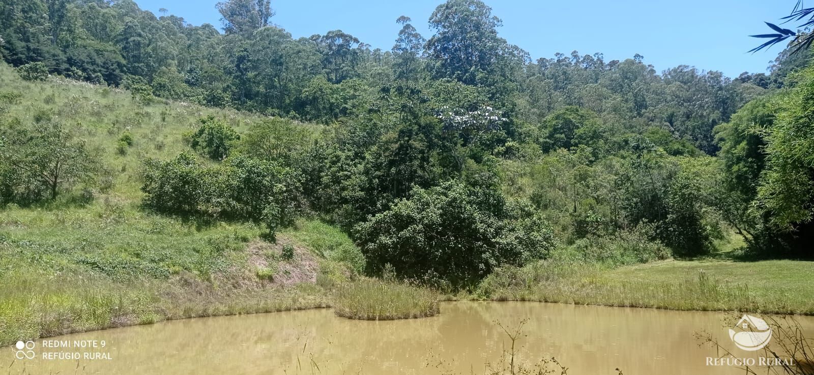 Fazenda à venda com 4 quartos, 1500400m² - Foto 16