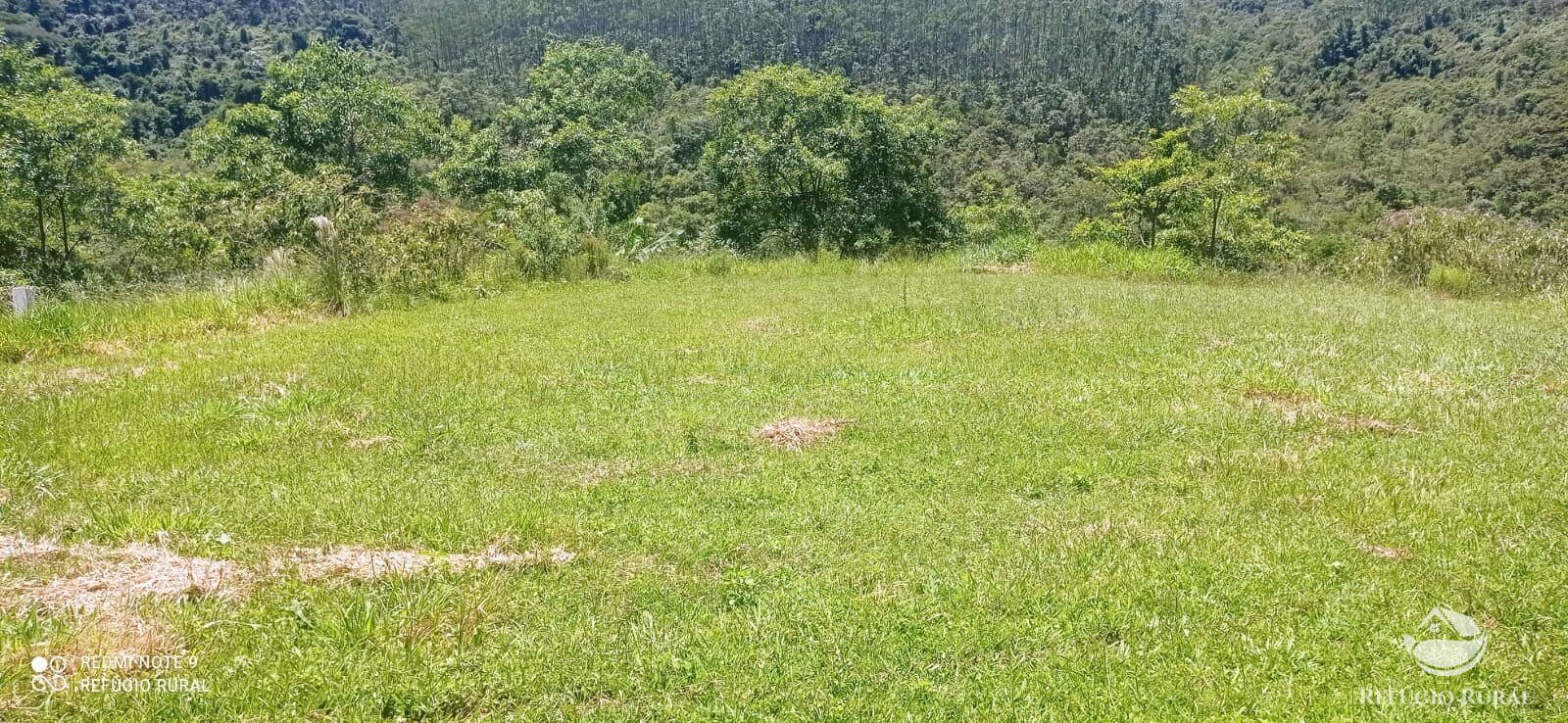 Fazenda à venda com 4 quartos, 1500400m² - Foto 24