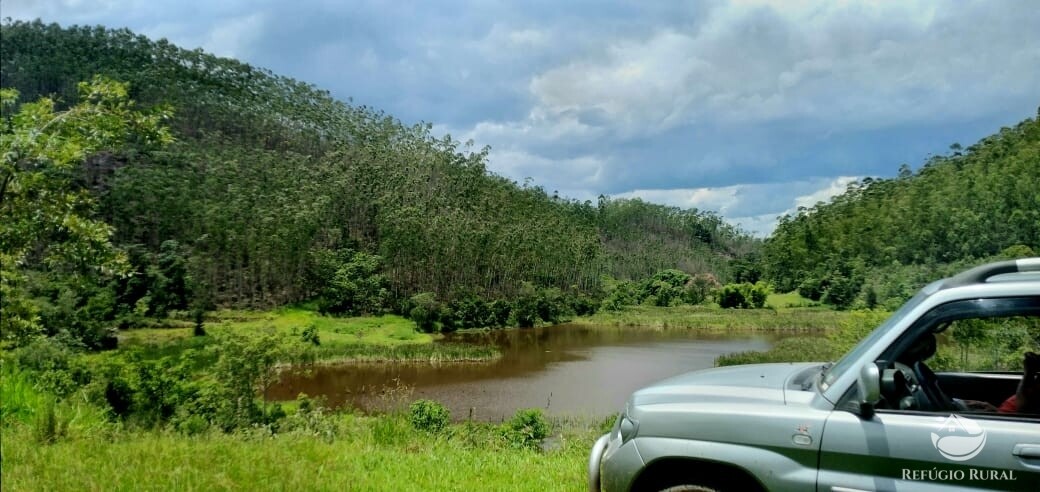 Fazenda à venda com 4 quartos, 1500400m² - Foto 45