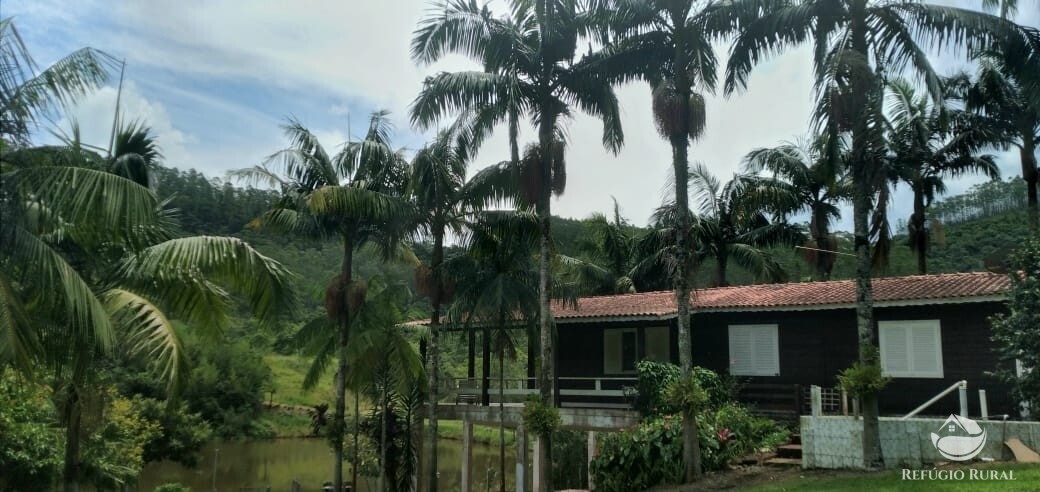 Fazenda à venda com 4 quartos, 1500400m² - Foto 1